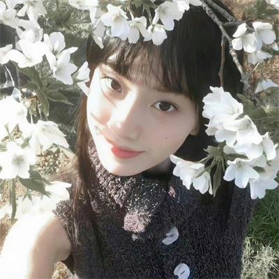 菲比梦游奇境